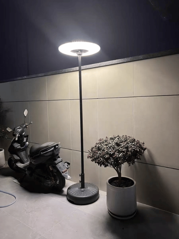 Choose the Right Solar Light