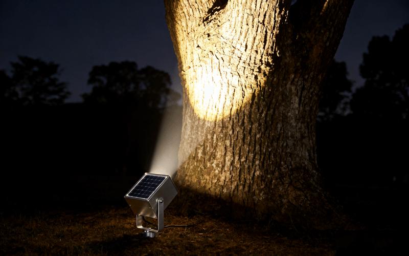 Solar Spotlights (2) Solar Spotlights (2)